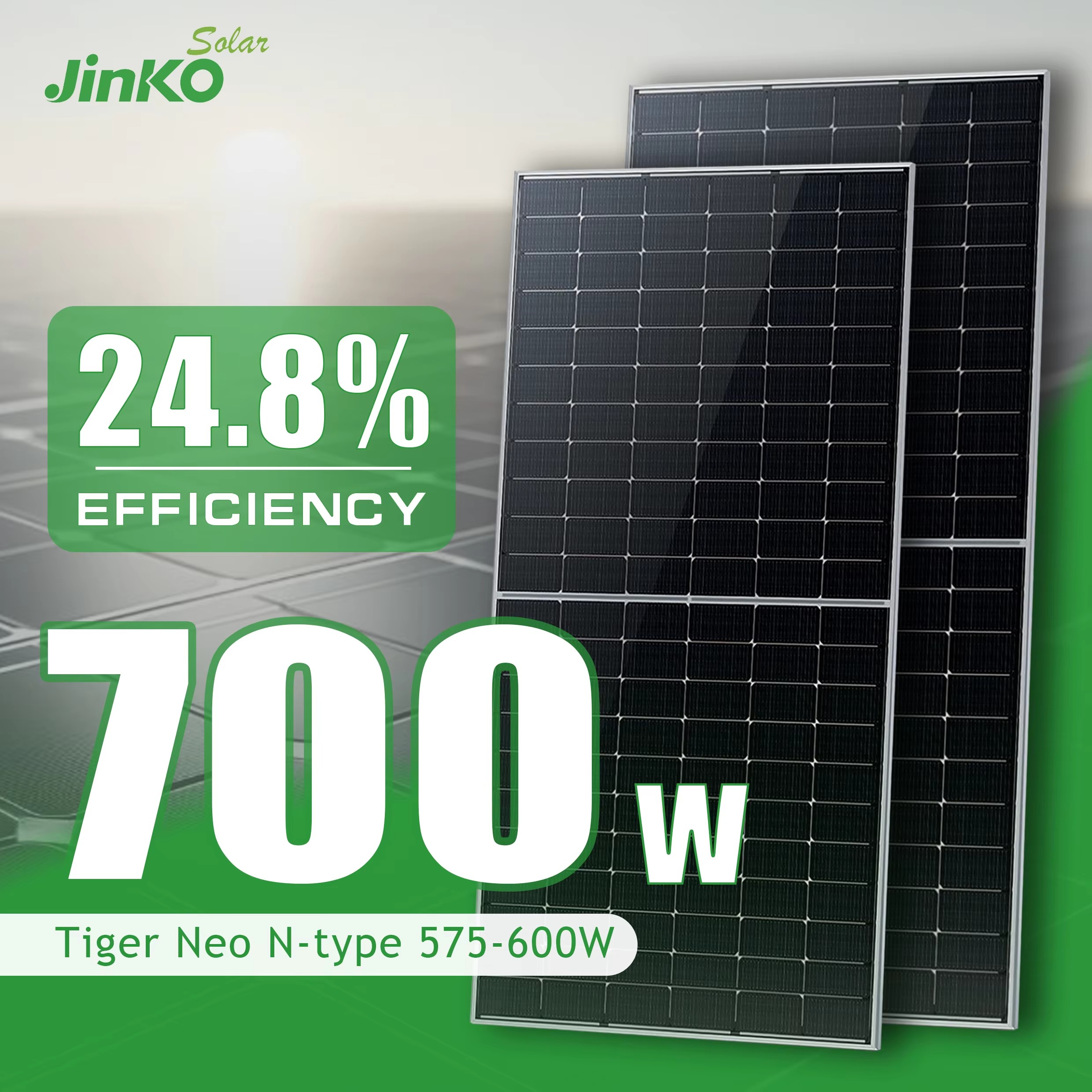 Cheap Jinko Tiger Neo N-Type / Jinko 66HL5-BDV Supplier and