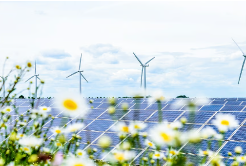 企业微信截图_17769328788922